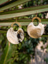 Round Plastic Fashion Earrings
